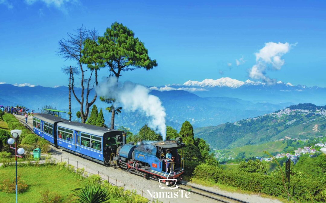 Viaje en ferrocarril a Darjeeling, India