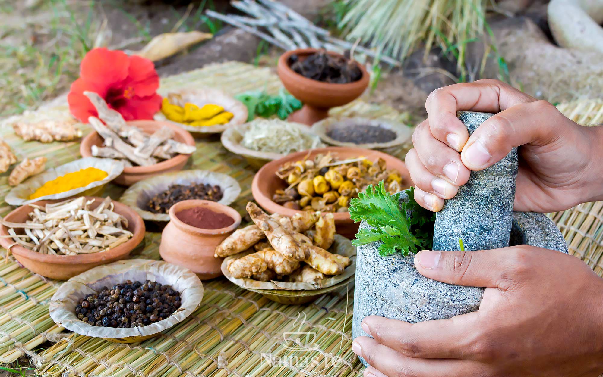 Descubre la Medicina Tradicional Ayurveda - Tisanas NamasTé