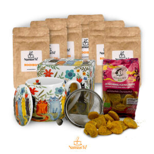 Pack degustación de con Rooibos con Extras de snacks de Jengibre NamasTé