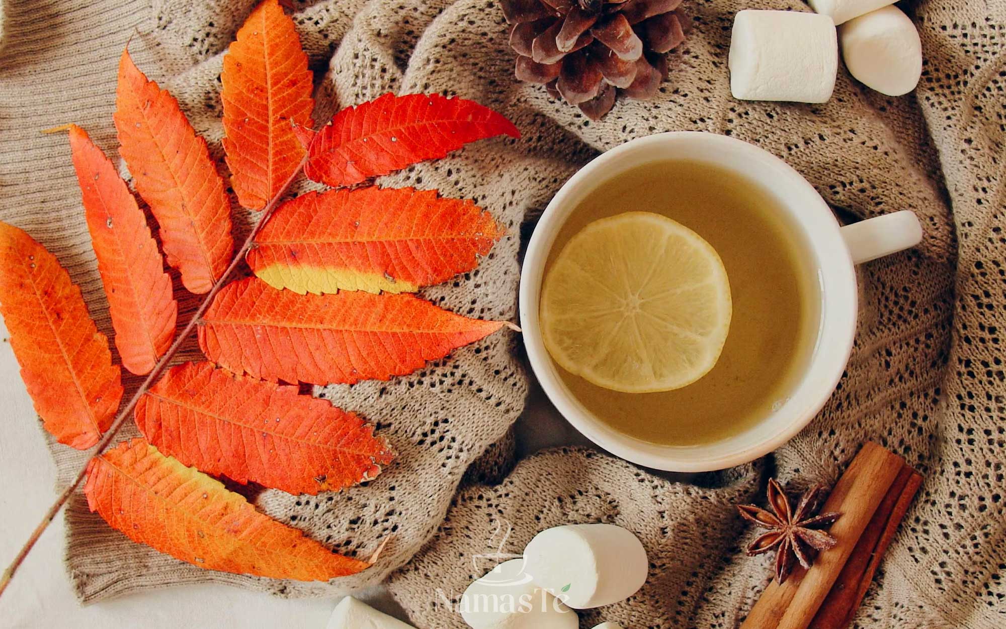 El olor del otoño y la memoria de los aromas - NamasTé Infusiones